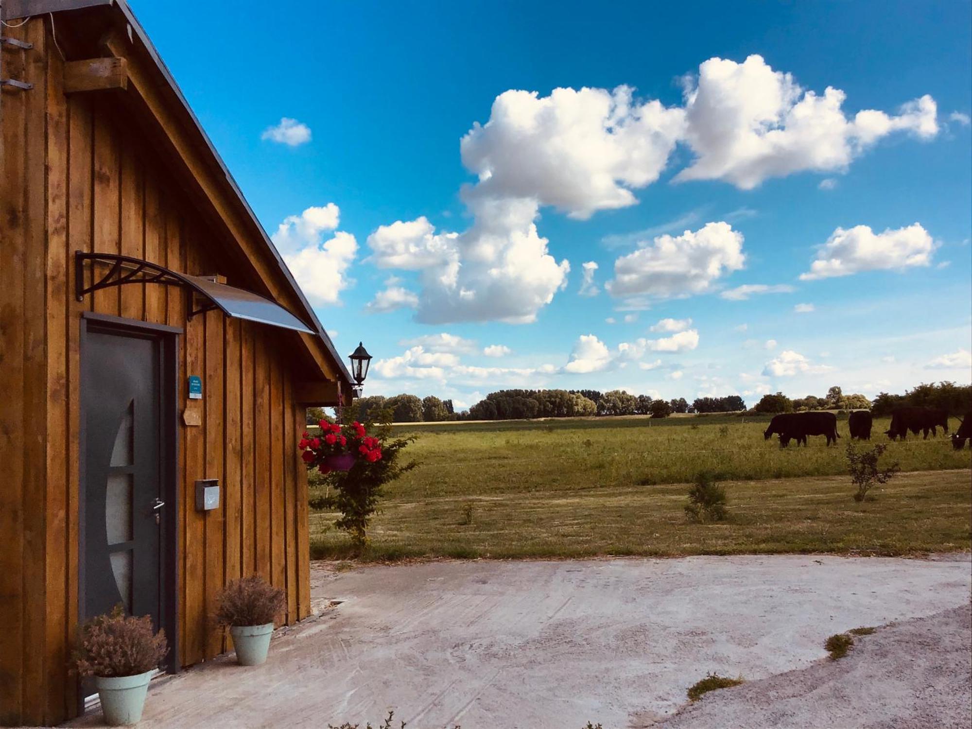 Le Chalet De La Ferme Du Tertre Villers-au-Tertre الغرفة الصورة